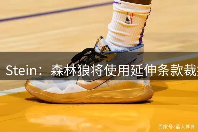 Stein：森林狼将使用延伸条款裁掉康查尔 腾出空间签库明加